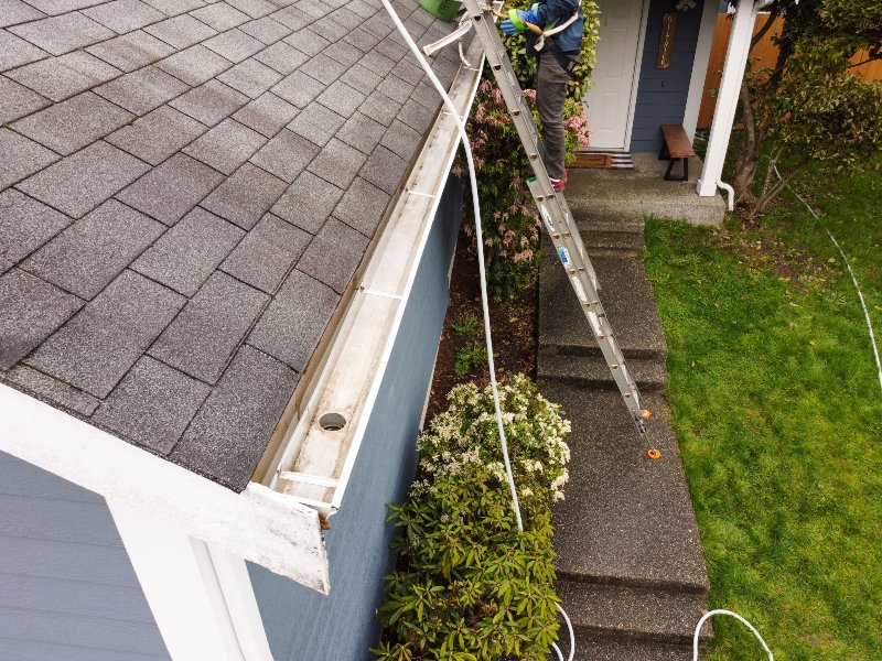 professional standing on ladder cleaning gutter of home